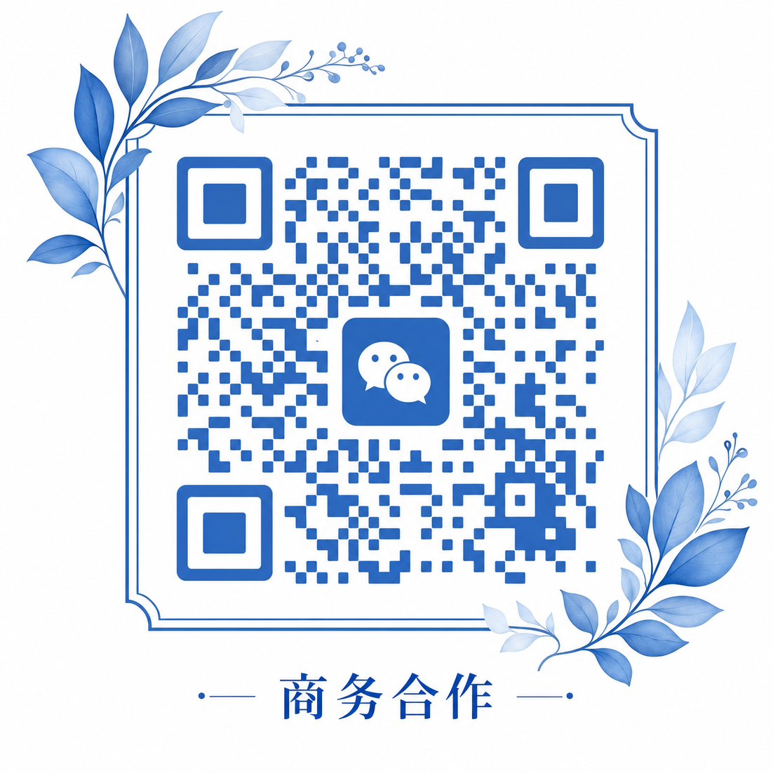 捷克街头商务合作